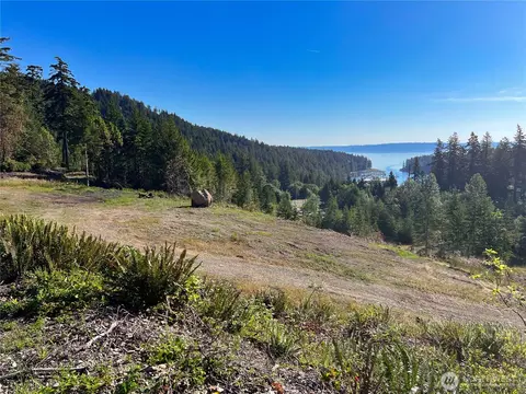 3 Nnnn Mt Jupiter Rd, Brinnon, WA 98320 photo 21