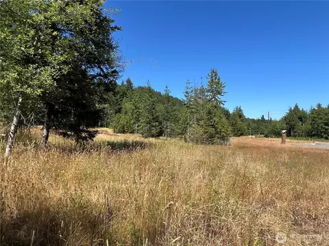 3 Nnnn Mt Jupiter Rd, Brinnon, WA 98320 photo 4