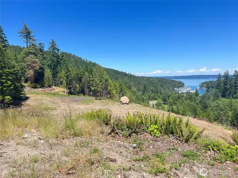 3 Nnnn Mt Jupiter Rd, Brinnon, WA 98320 photo 7
