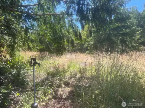 3 Nnnn Mt Jupiter Rd, Brinnon, WA 98320 photo 28