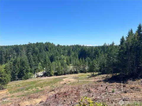 3 Nnnn Mt Jupiter Rd, Brinnon, WA 98320 photo 12
