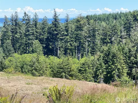 3 Nnnn Mt Jupiter Rd, Brinnon, WA 98320 photo 19