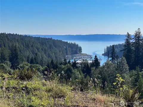 3 Nnnn Mt Jupiter Rd, Brinnon, WA 98320 photo 14