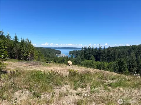 3 Nnnn Mt Jupiter Rd, Brinnon, WA 98320 photo 16