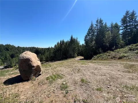 3 Nnnn Mt Jupiter Rd, Brinnon, WA 98320 photo 10