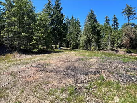 3 Nnnn Mt Jupiter Rd, Brinnon, WA 98320 photo 13