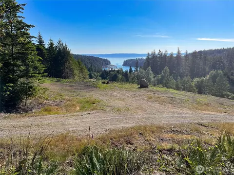3 Nnnn Mt Jupiter Rd, Brinnon, WA 98320 photo 22