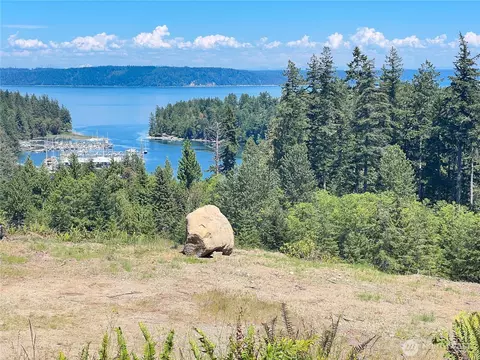 3 Nnnn Mt Jupiter Rd, Brinnon, WA 98320 photo 9