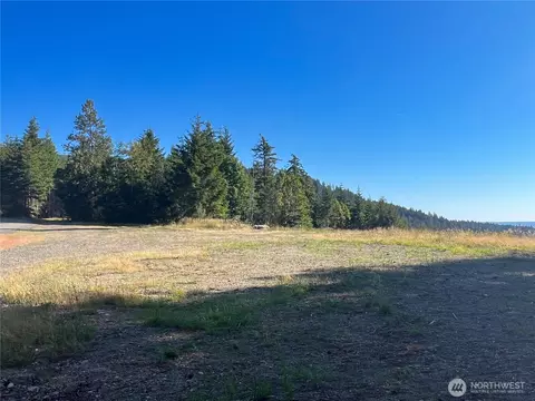 3 Nnnn Mt Jupiter Rd, Brinnon, WA 98320 photo 11