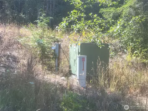 3 Nnnn Mt Jupiter Rd, Brinnon, WA 98320 photo 30