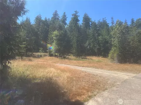 3 Nnnn Mt Jupiter Rd, Brinnon, WA 98320 photo 29