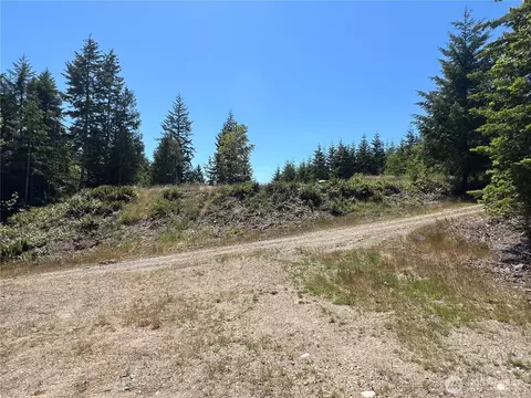 3 Nnnn Mt Jupiter Rd, Brinnon, WA 98320 photo 15