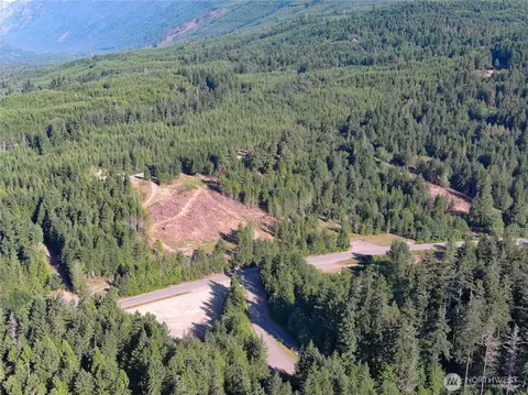 3 Nnnn Mt Jupiter Rd, Brinnon, WA 98320 photo 24