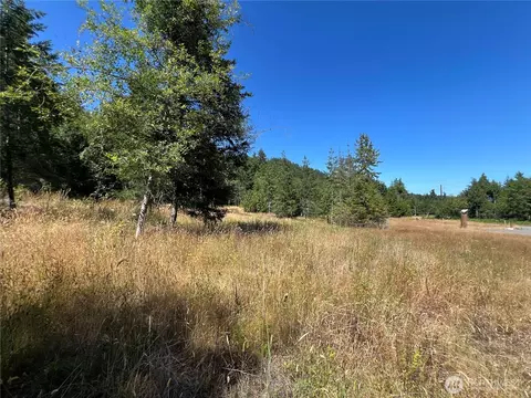 3 Nnnn Mt Jupiter Rd, Brinnon, WA 98320 photo 31