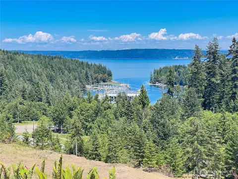 3 Nnnn Mt Jupiter Rd, Brinnon, WA 98320 photo 20