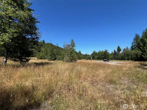 3 Nnnn Mt Jupiter Rd, Brinnon, WA 98320 photo 26