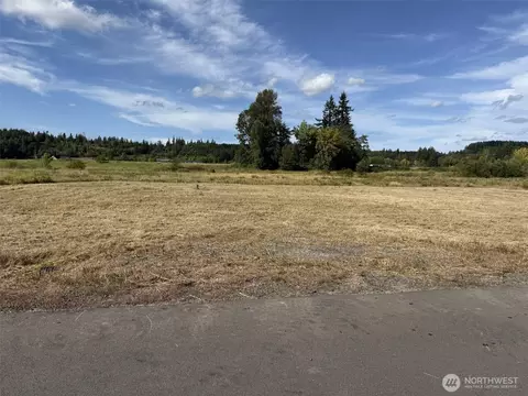 16 Sunburst Ln, Onalaska, WA 98570