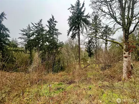 0 Edgewater Dr SW, Lakewood, WA 98499