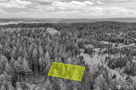 12613 Camus Rd, Anderson Island, WA 98303
