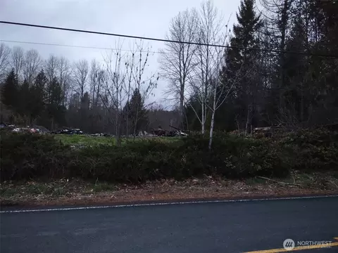 140 Kiona Rd, Randle, WA 98377 photo 3