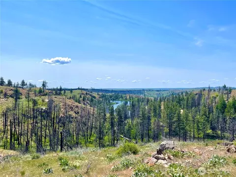 0 Tbd Madd Mtn Rd, Okanogan, WA 98840