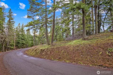 0 Lot 12 Pine Loch Sun Dr, Ronald, WA 98940