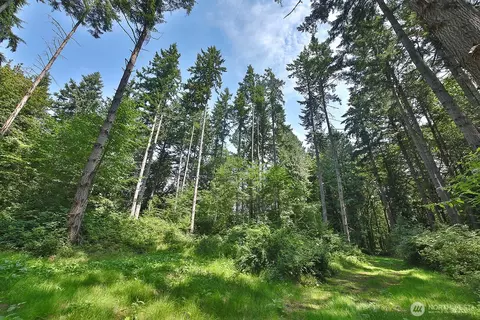 0 Nnn Hellman Rd, Clinton, WA 98236 photo 15
