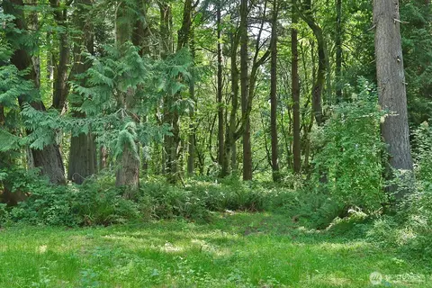 0 Nnn Hellman Rd, Clinton, WA 98236 photo 25