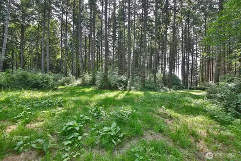 0 Nnn Hellman Rd, Clinton, WA 98236 photo 19