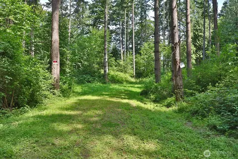 0 Nnn Hellman Rd, Clinton, WA 98236 photo 27