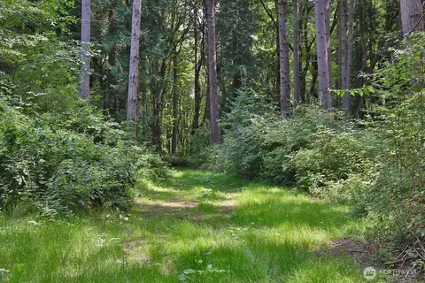 0 Nnn Hellman Rd, Clinton, WA 98236 photo 28