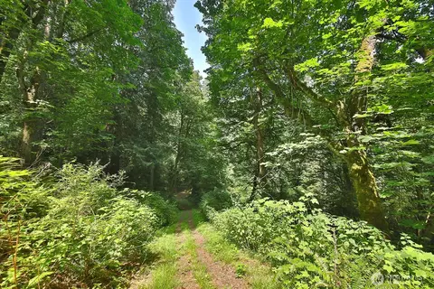 0 Nnn Hellman Rd, Clinton, WA 98236 photo 4