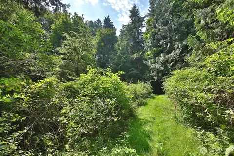 0 Nnn Hellman Rd, Clinton, WA 98236 photo 23