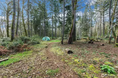 17124 80th St SW, Longbranch, WA 98351