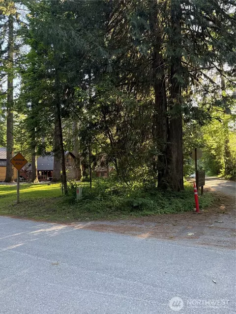 0 Miller River Rd NE, Skykomish, WA 98288