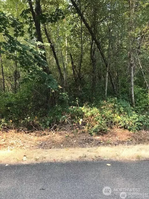7521 188th Ave E, Bonney Lake, WA 98391