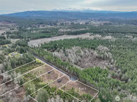 120 Lot 4 Larson Rd, Mccleary, WA 98557