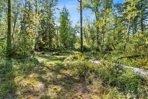 285 Justus Rd, Cinebar, WA 98533