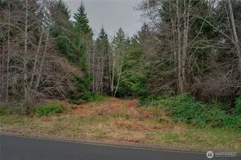 56 Ranta Rd, South Bend, WA 98586