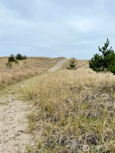 1301 178th Pl W, Long Beach, WA 98631 photo 9