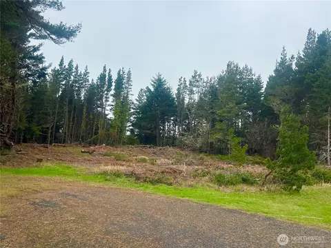 1301 178th Pl W, Long Beach, WA 98631 photo 3