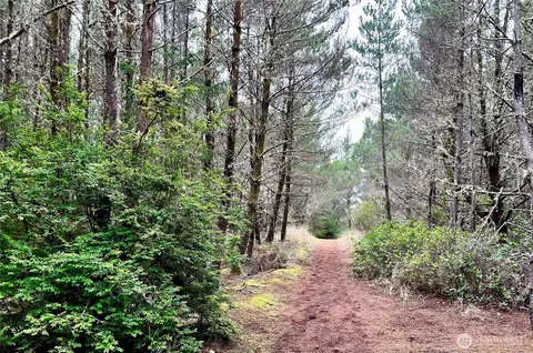 1301 178th Pl W, Long Beach, WA 98631 photo 7