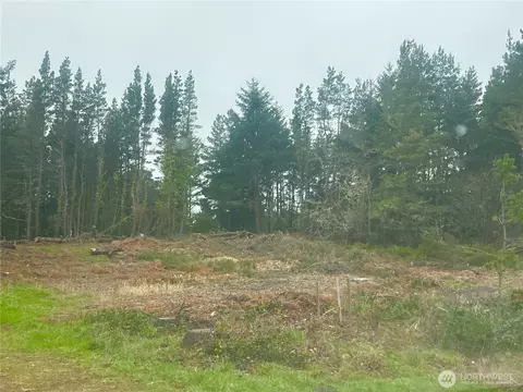 1301 178th Pl W, Long Beach, WA 98631 photo 11
