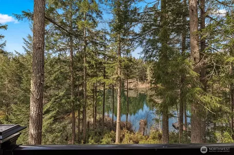 View/Area - 390 Emerald Lake Dr E, Grapeview, WA 98546 photo 6 of 6