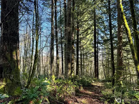 0 Eufaula Hts, Longview, WA 98632
