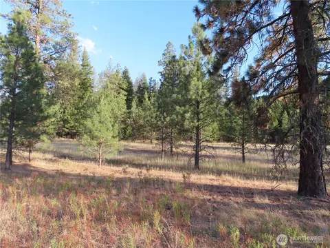 0 Toroda Creek Rd, Curlew, WA 99118