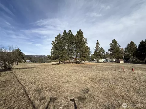 0 Lot 55 Heron Loop Rd, Republic, WA 99166 photo 4