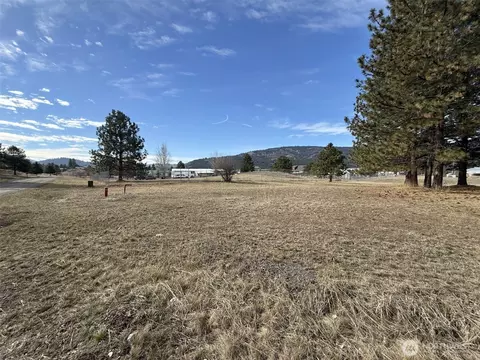 0 Lot 55 Heron Loop Rd, Republic, WA 99166 photo 12