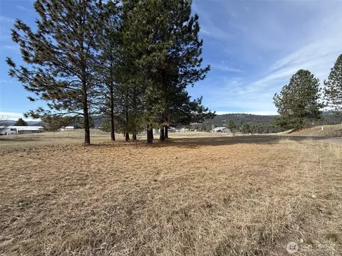 0 Lot 55 Heron Loop Rd, Republic, WA 99166 photo 8