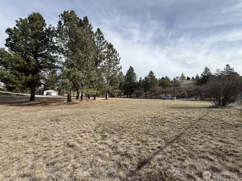 0 Lot 55 Heron Loop Rd, Republic, WA 99166 photo 5